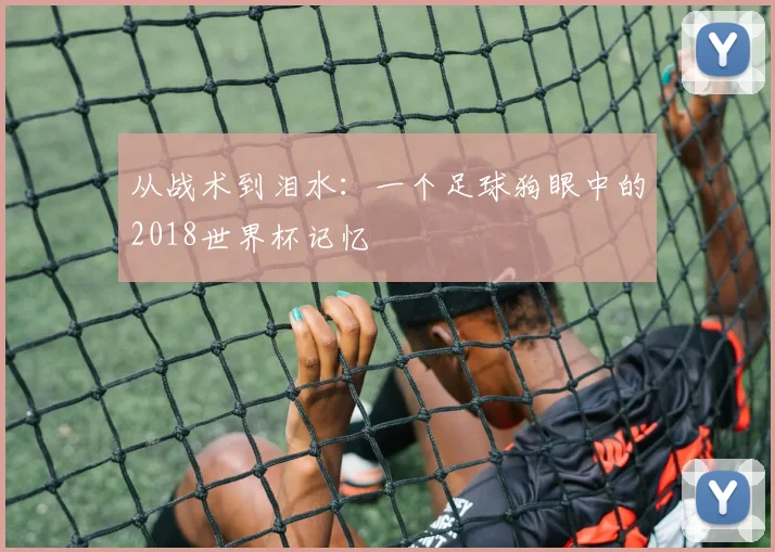 从战术到泪水：一个足球狗眼中的2018世界杯记忆