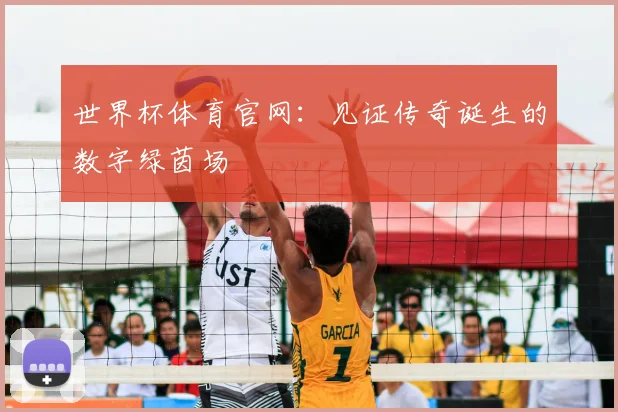 世界杯体育官网:见证传奇诞生的数字绿茵场