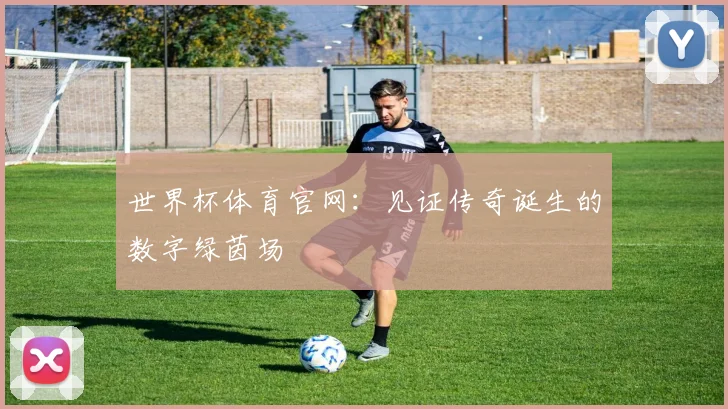世界杯体育官网:见证传奇诞生的数字绿茵场