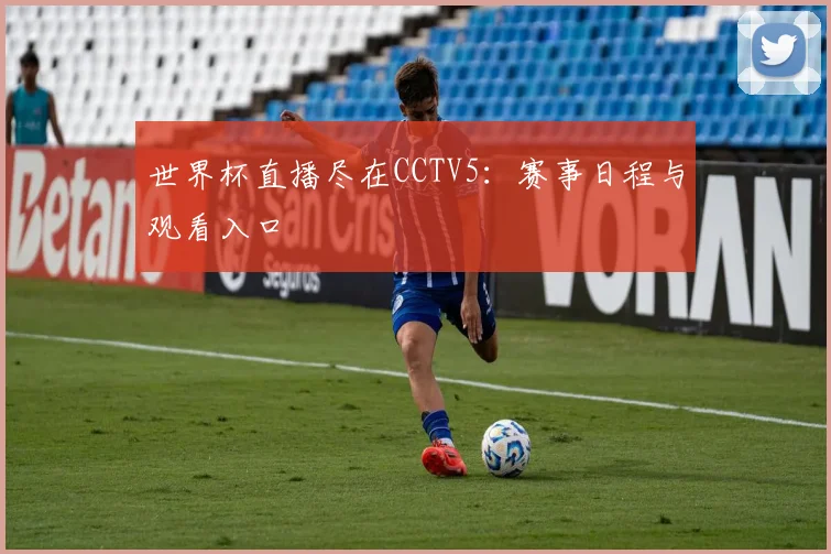 世界杯直播尽在CCTV5:赛事日程与观看入口