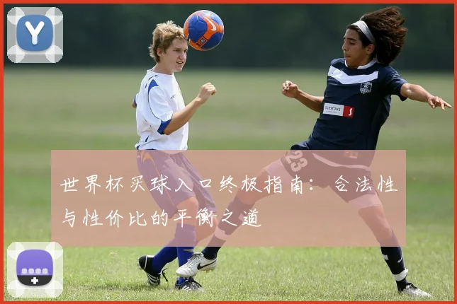 世界杯买球入口终极指南：合法性与性价比的平衡之道